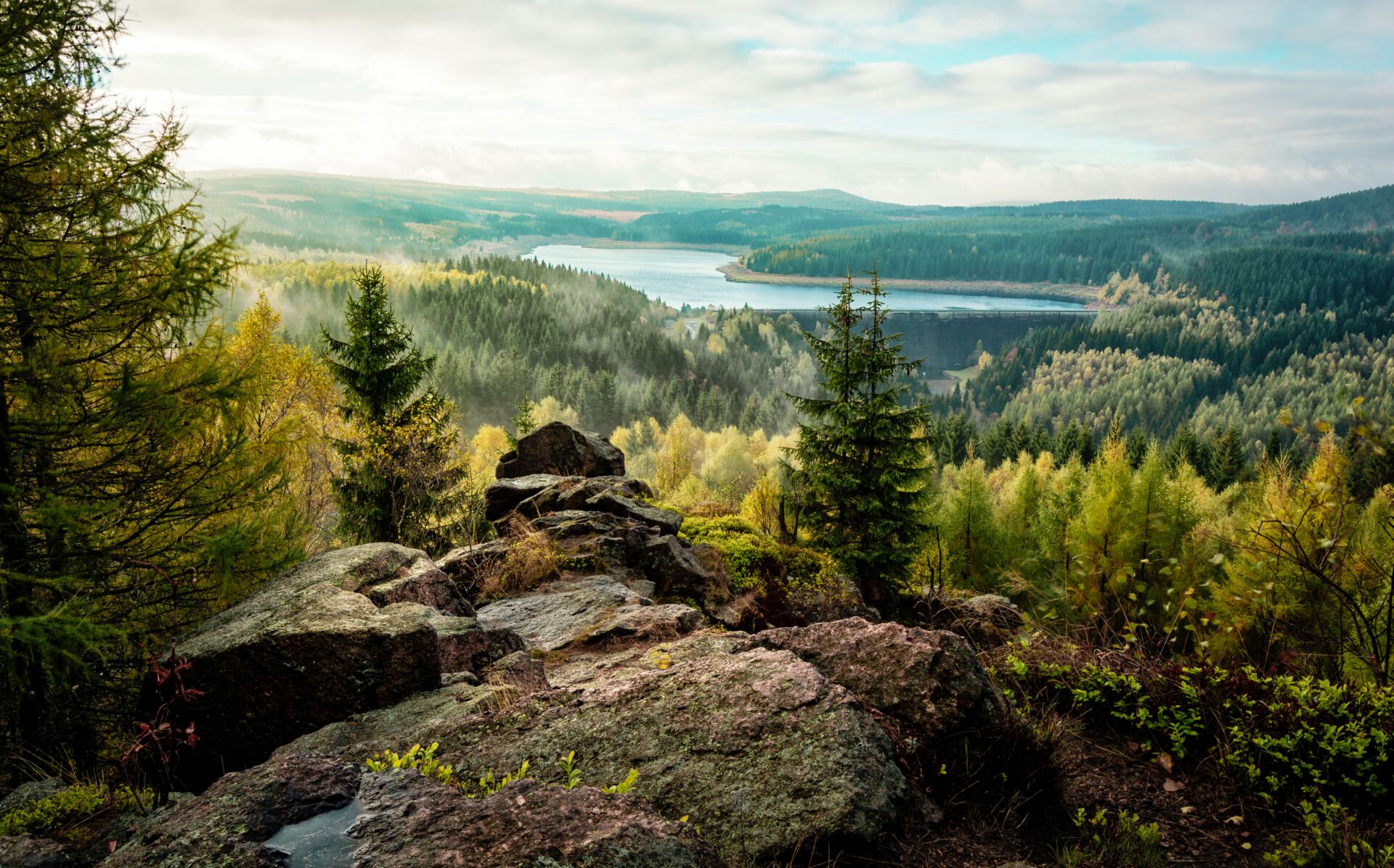 Wandern Natur Sächsische Schweiz